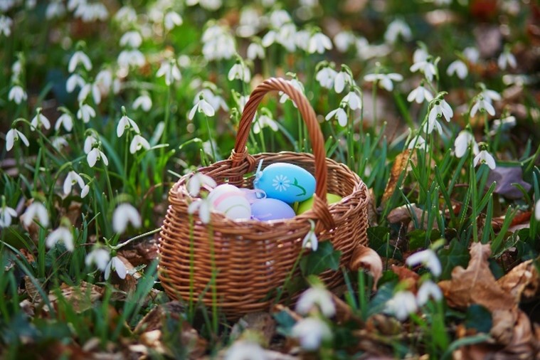 Brown wicker basket with colourful Easer eggs inside, lying on grass surrounded by white flowers