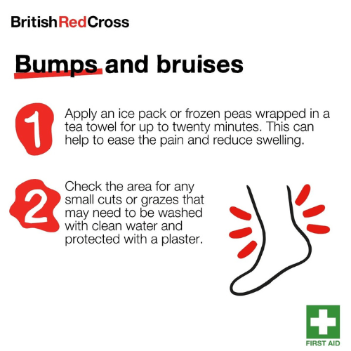 British Red Cross - graphic showing first aid tips for bumps and bruises 